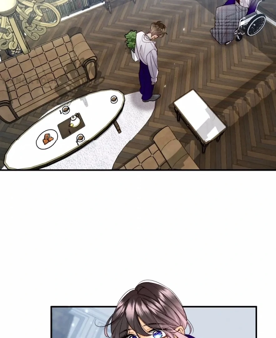 ch 36 11