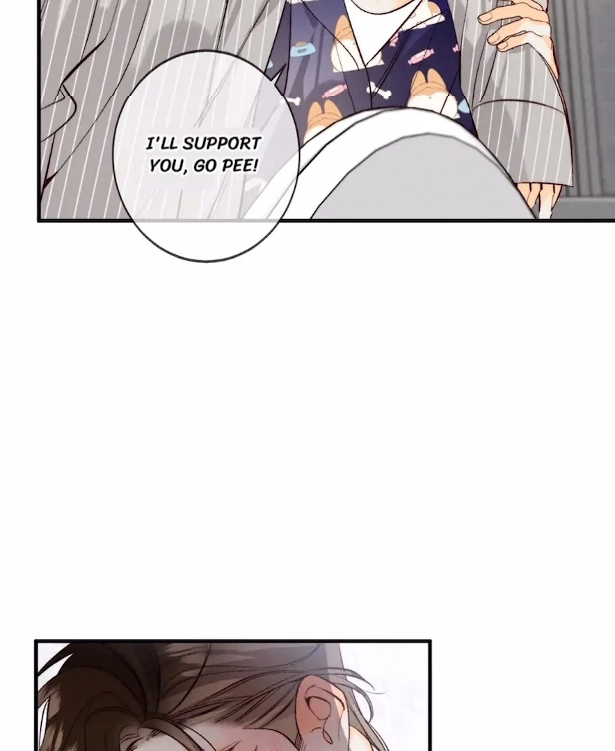 ch 41 11