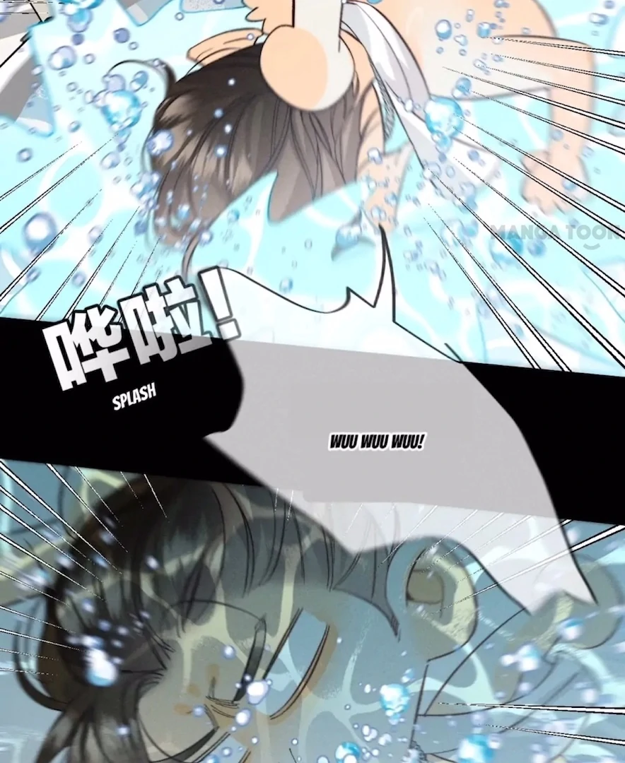 ch 42 16