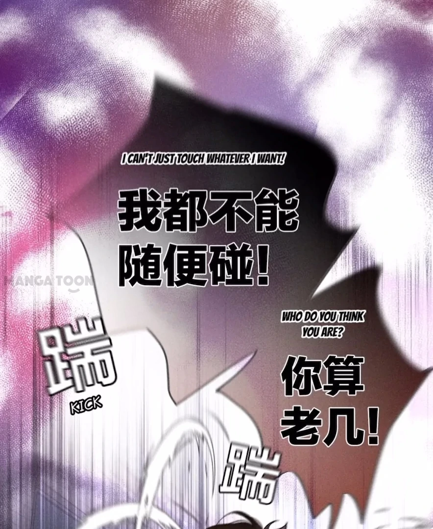 ch 51 6