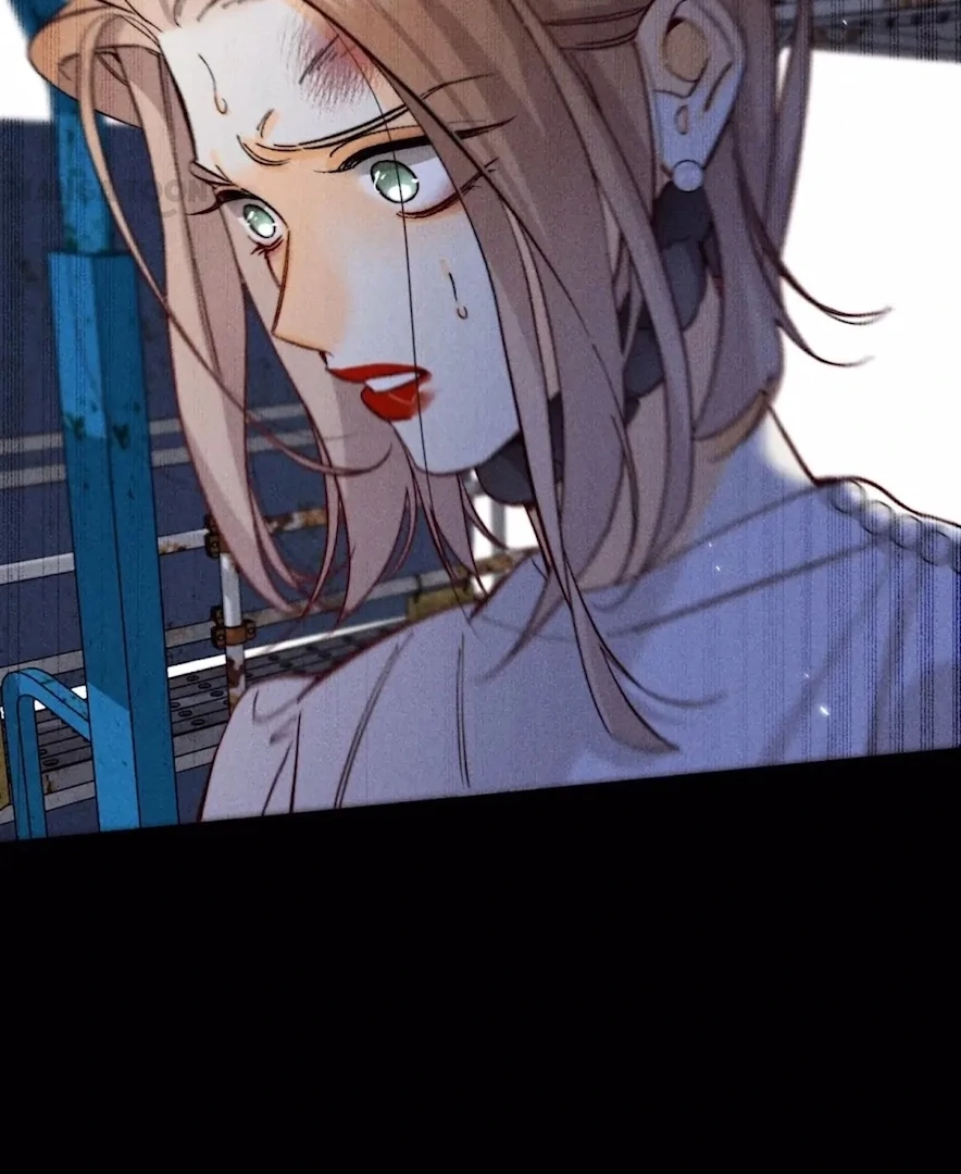 ch 81 13