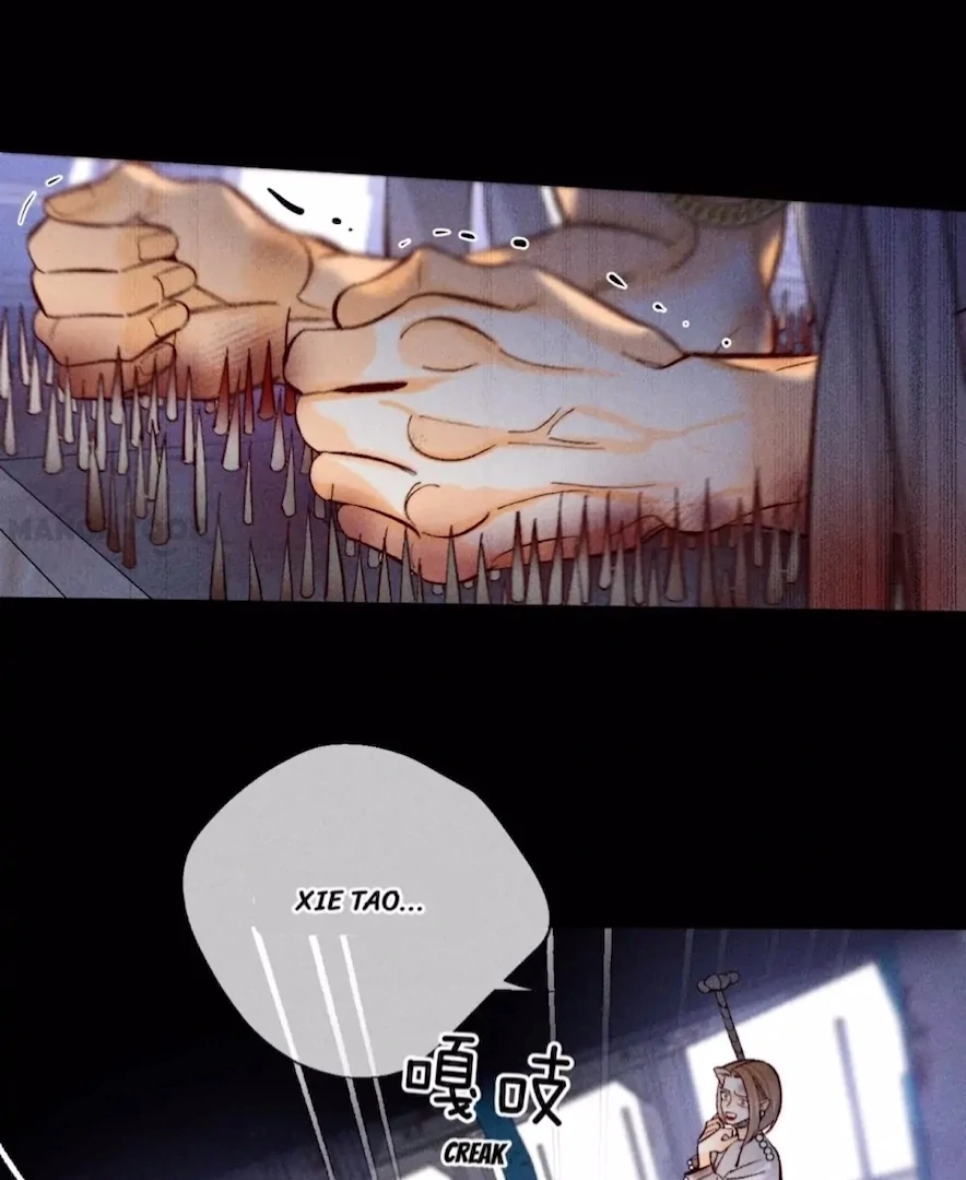 ch 81 19