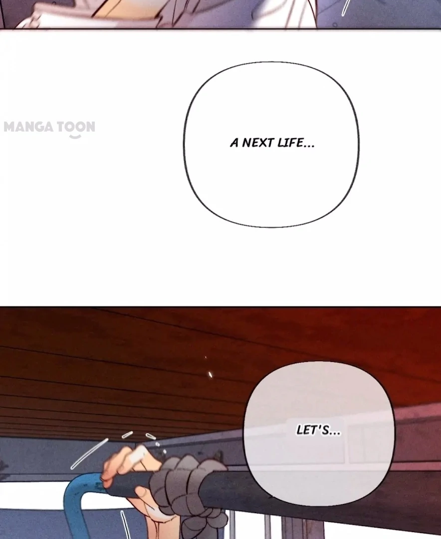 ch 81 66