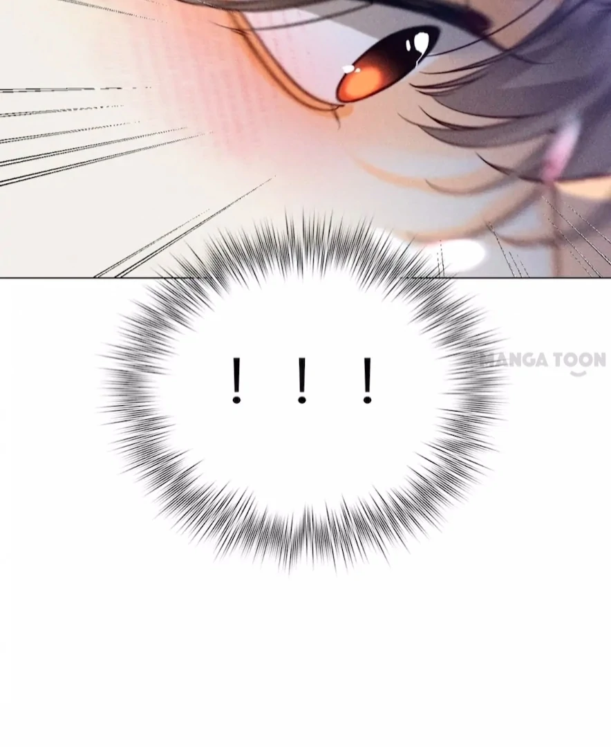 ch 95 24