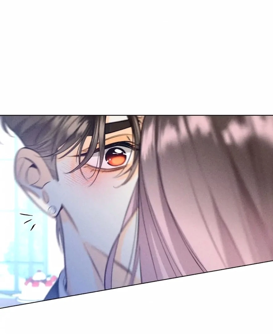 ch 95 28