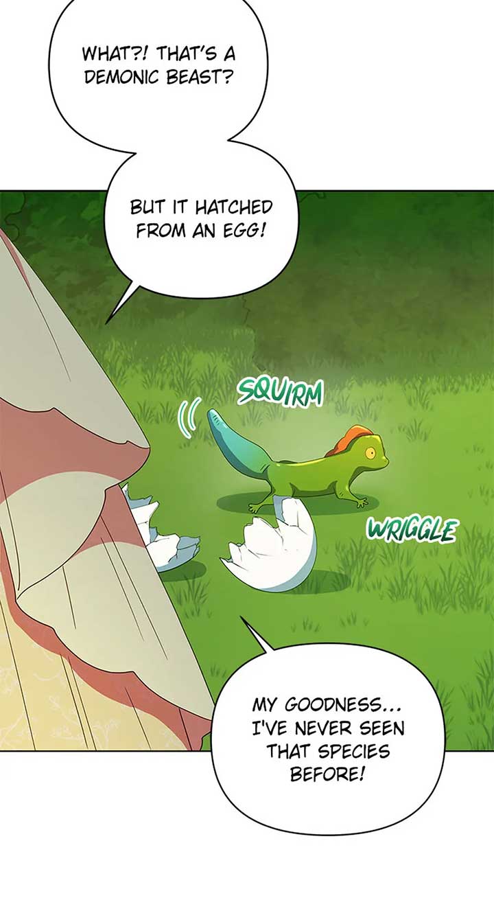 51