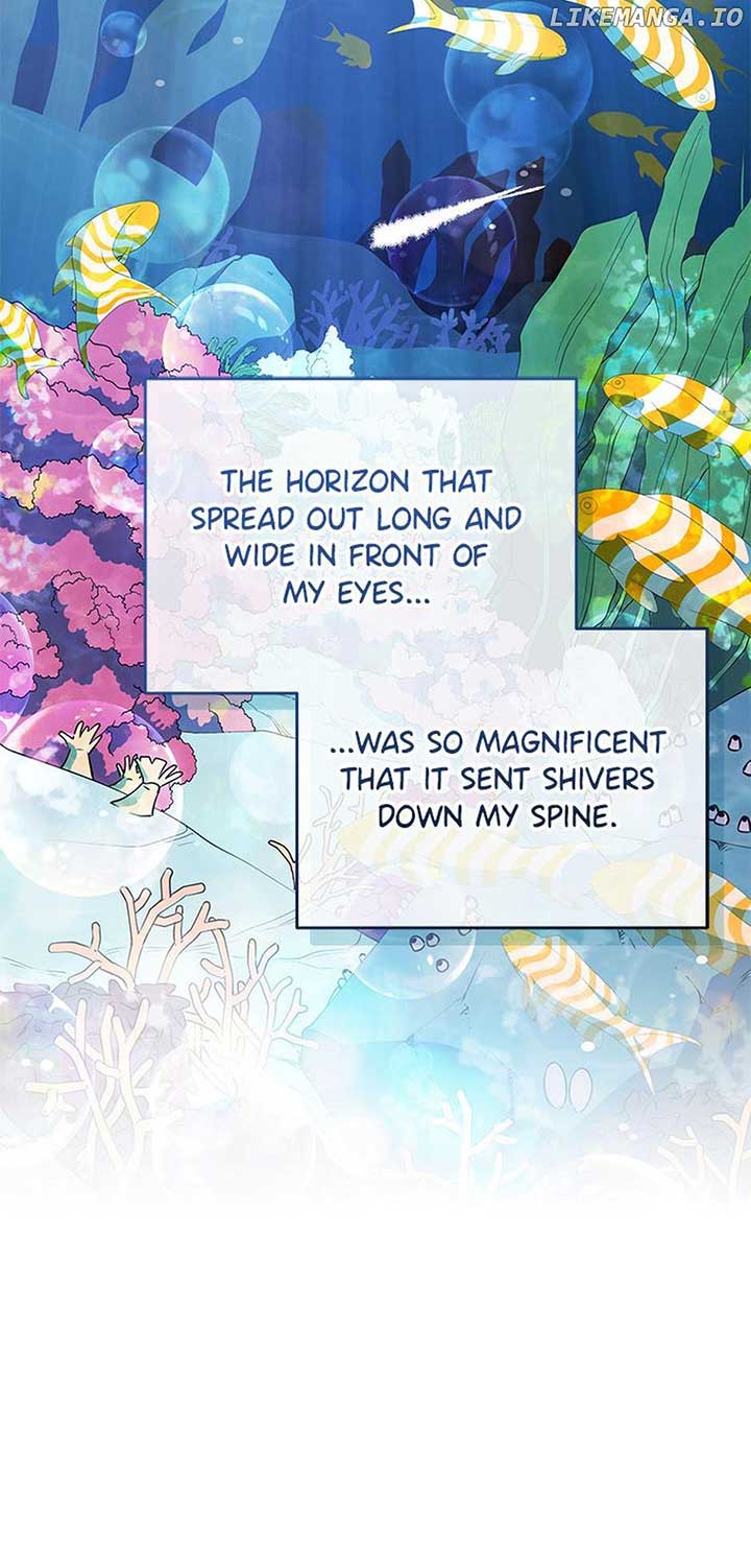 ch 61 80