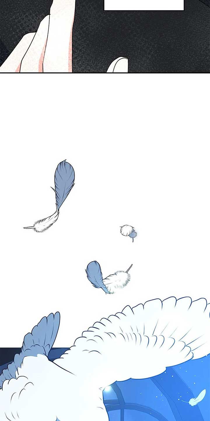 ch 73 18