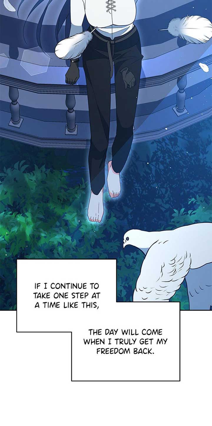 ch 73 20