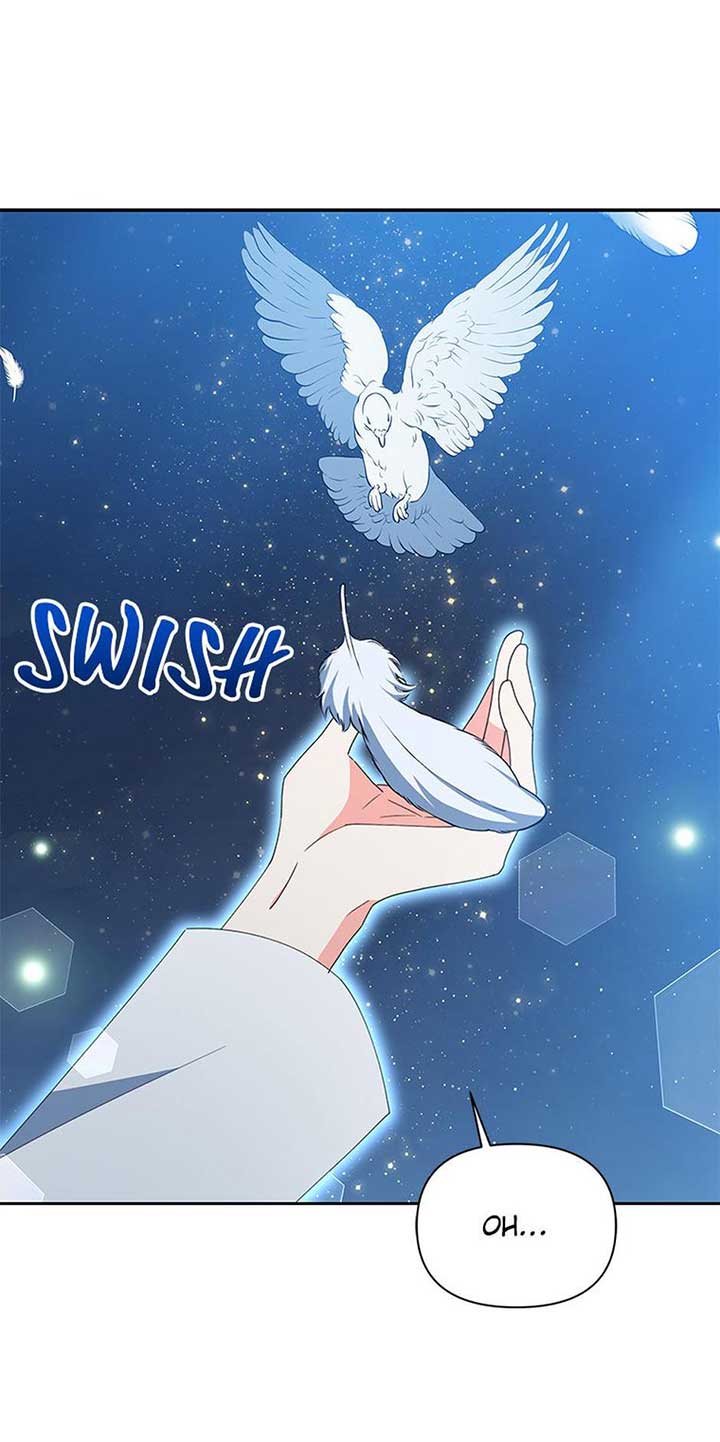 ch 73 21