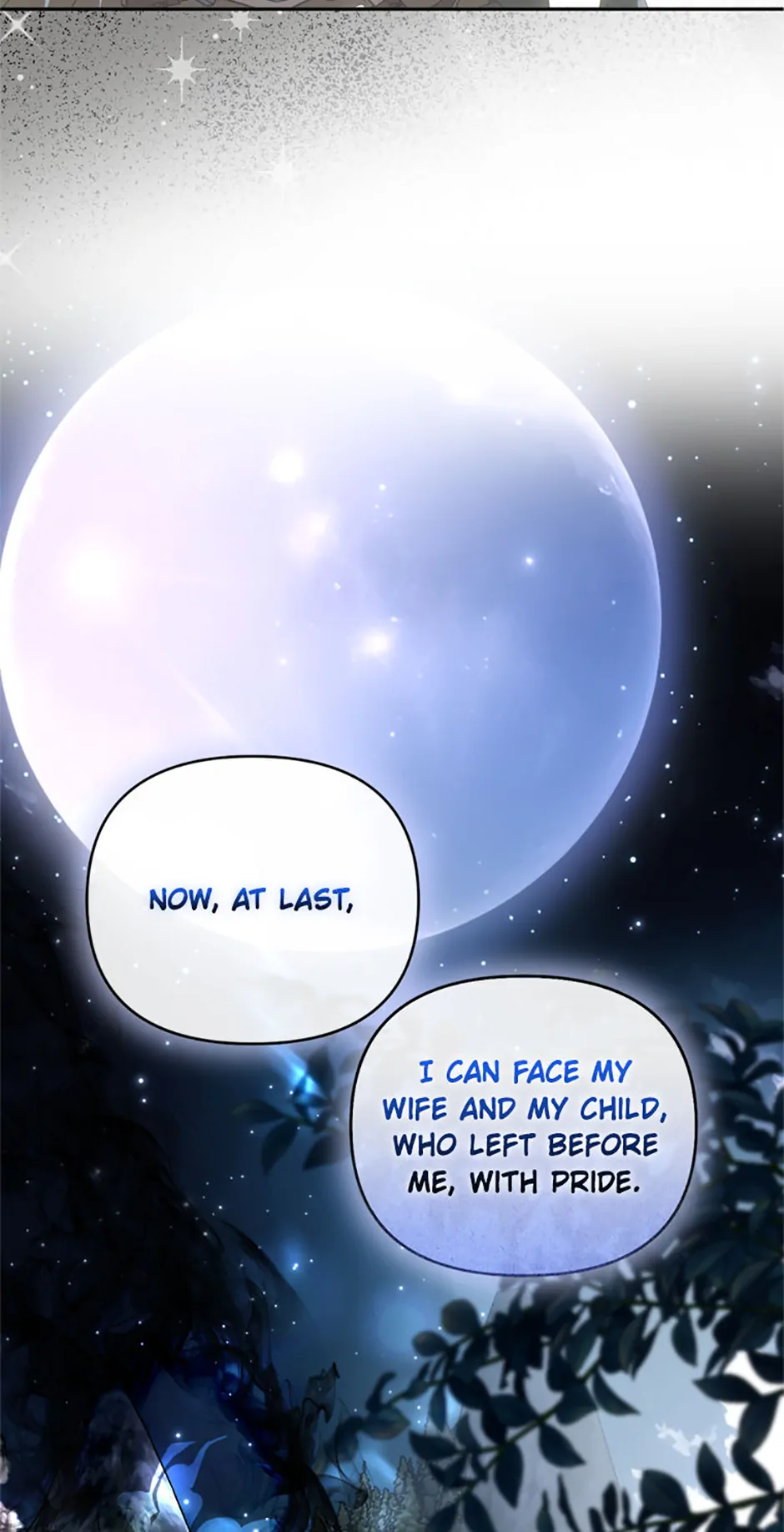 ch 81 23