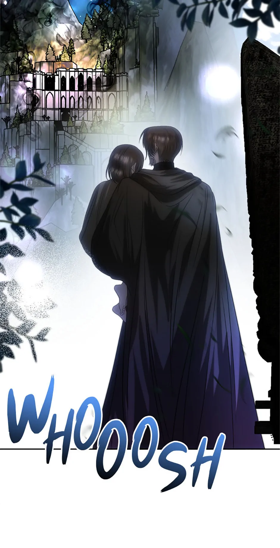 ch 81 24
