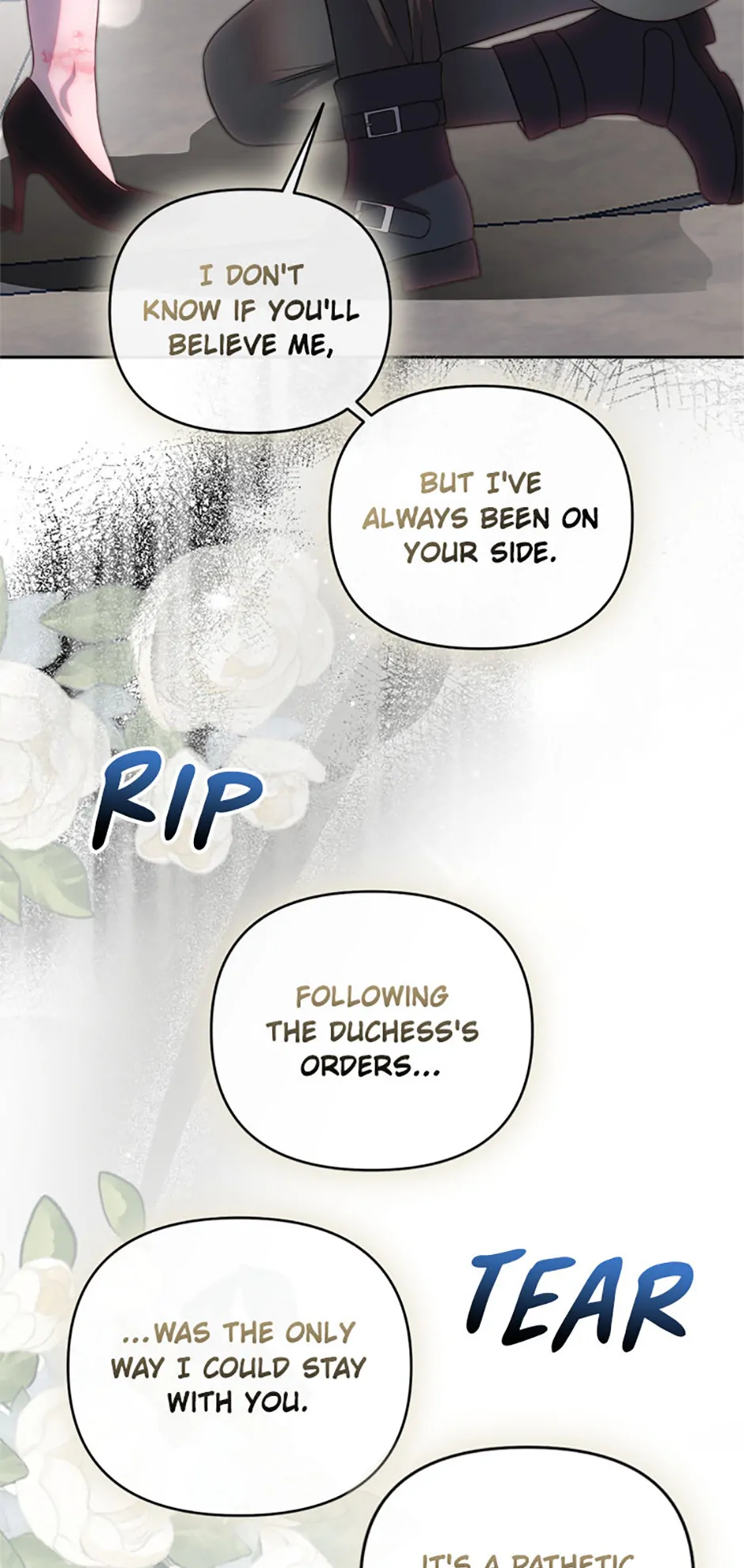 ch 81 30