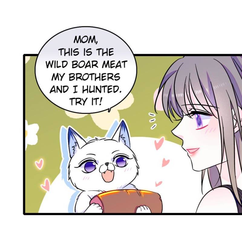 ch 362 17