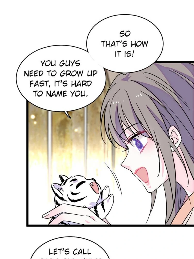 ch 390 23