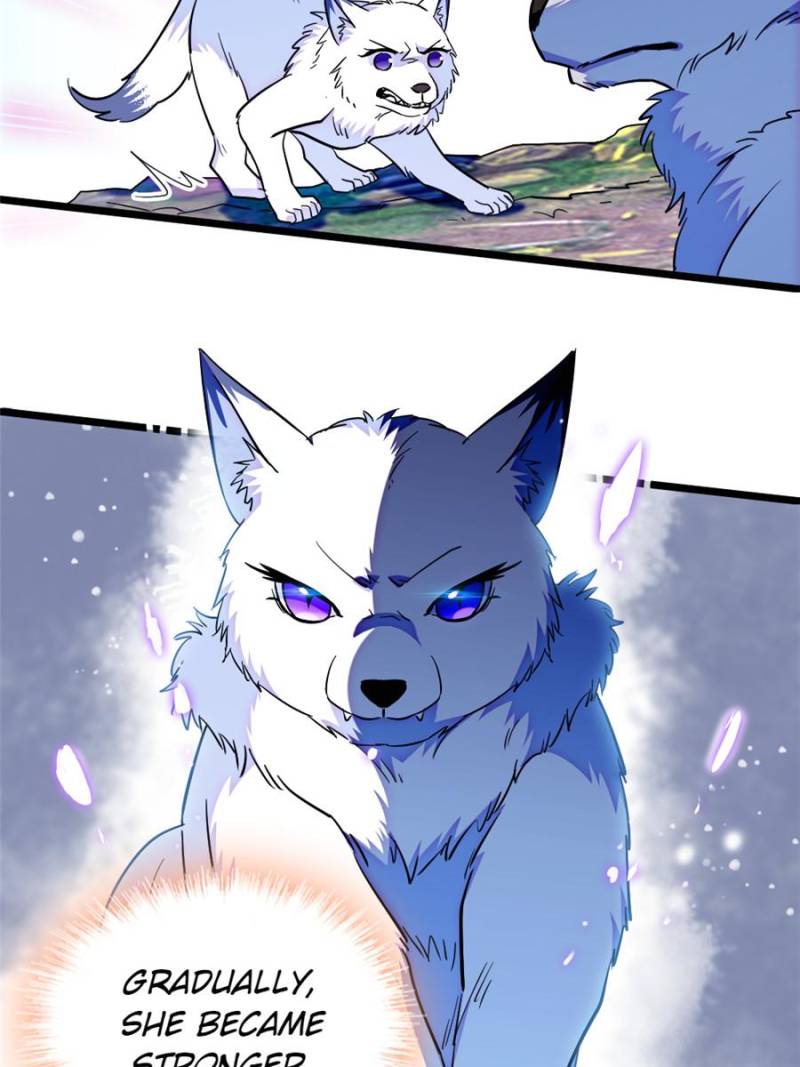 ch 397 10