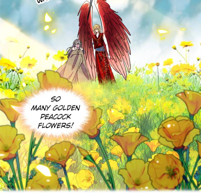 ch 411 4
