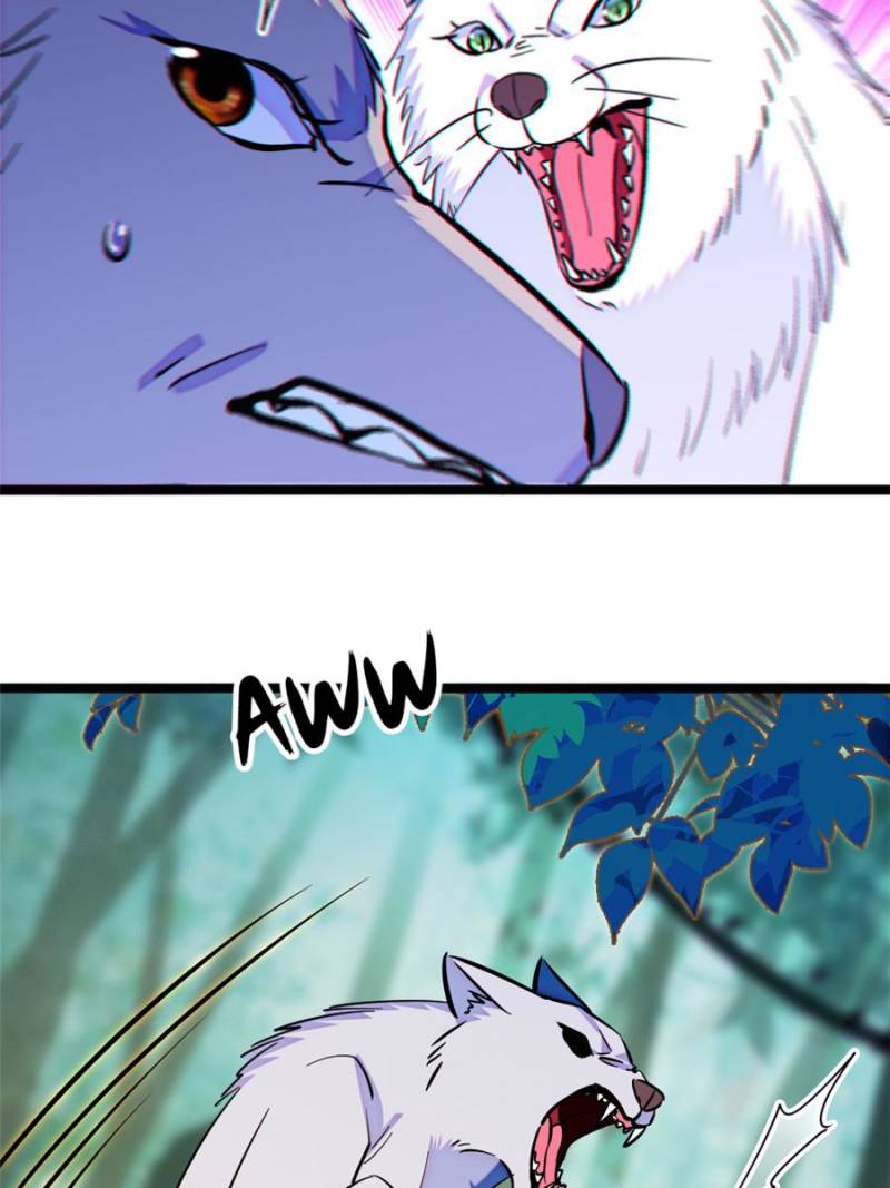ch 430 11