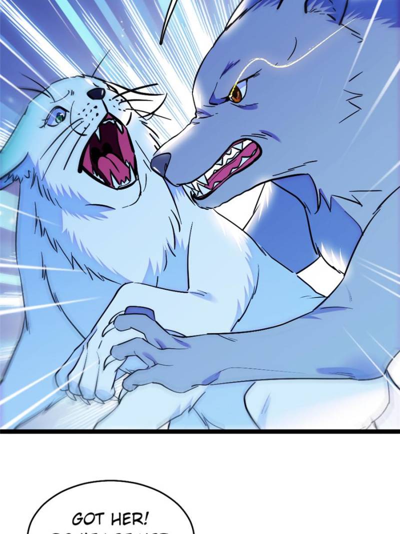 ch 430 3