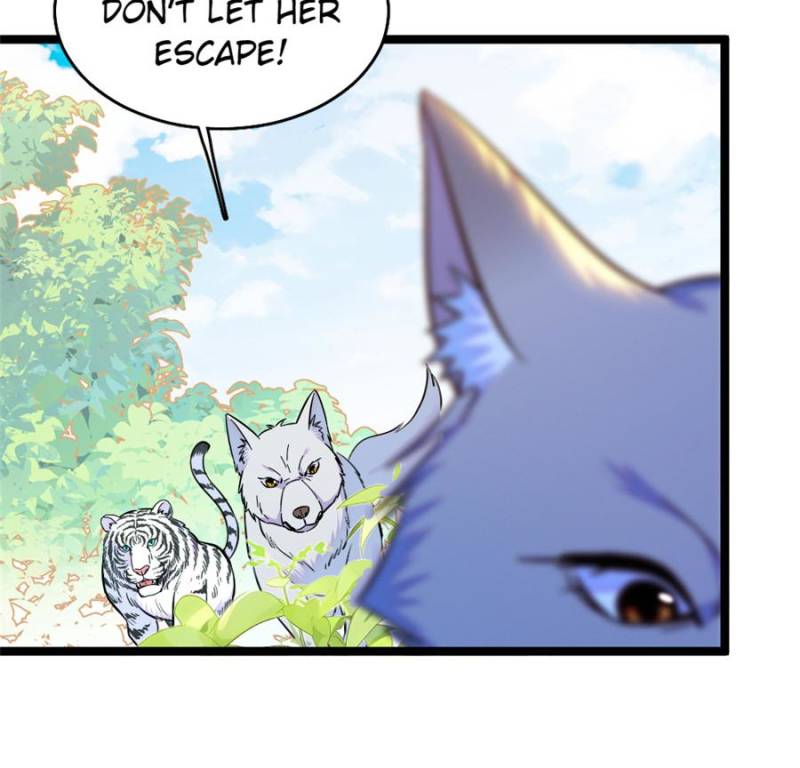 ch 430 4
