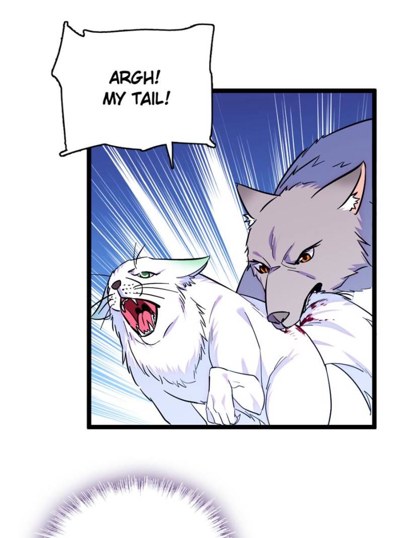 ch 430 5