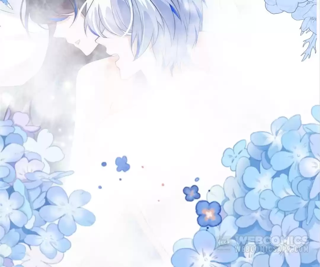 abd49dccc1d5