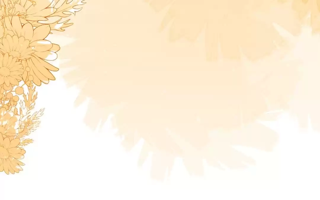 bc5379f9555e