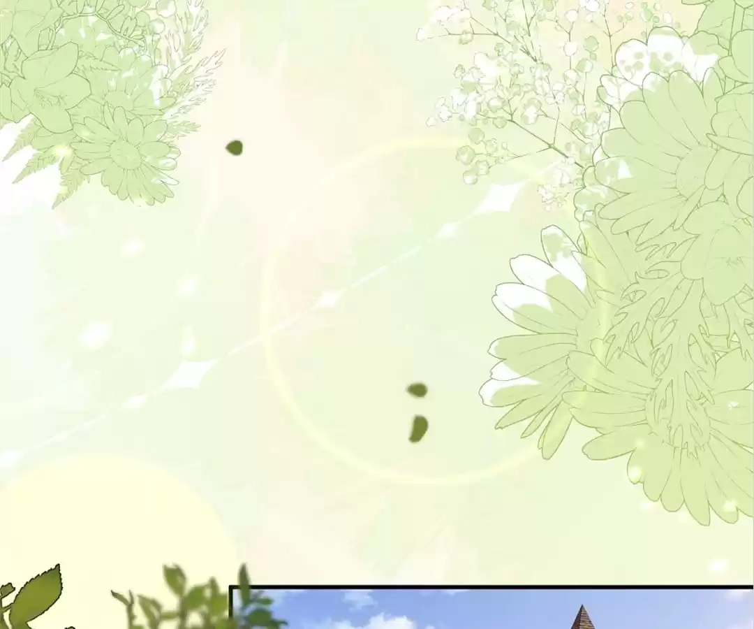 c1dfcdc268aa
