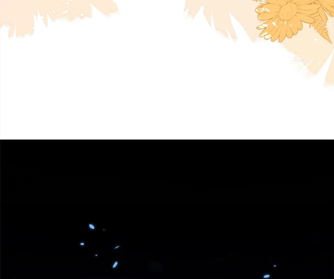 bdfe487e6b67