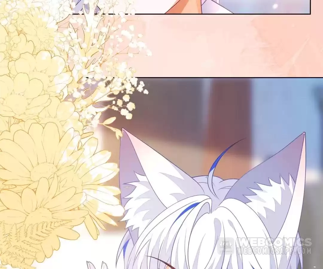 The Fox Man’s Obsession Chapter 55 463 23e2b960487d
