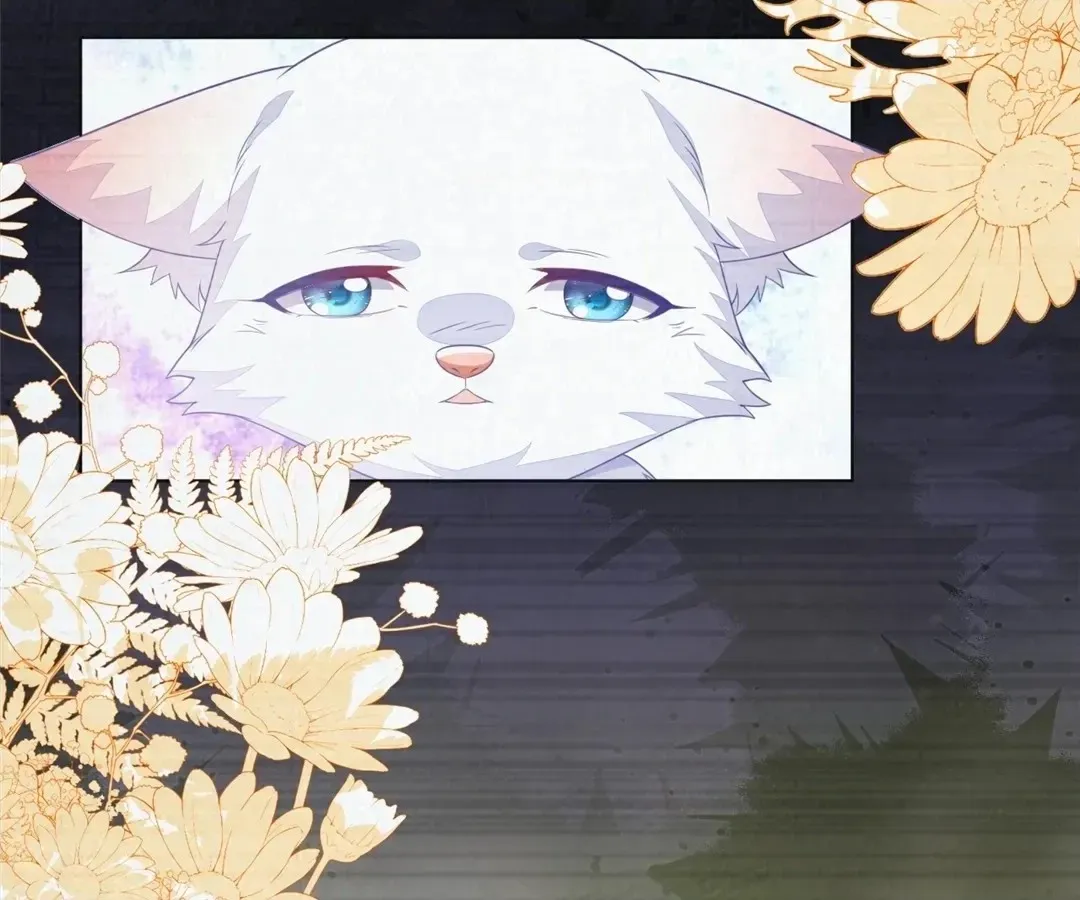 The Fox Man’s Obsession Chapter 55 406 6d57644cd0e2