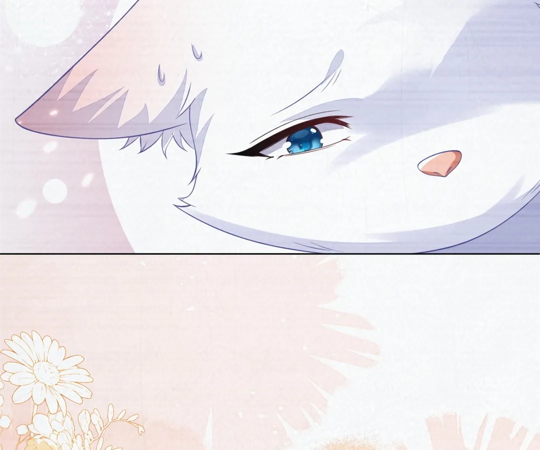 The Fox Man’s Obsession Chapter 55 411 877e8ebcb08c
