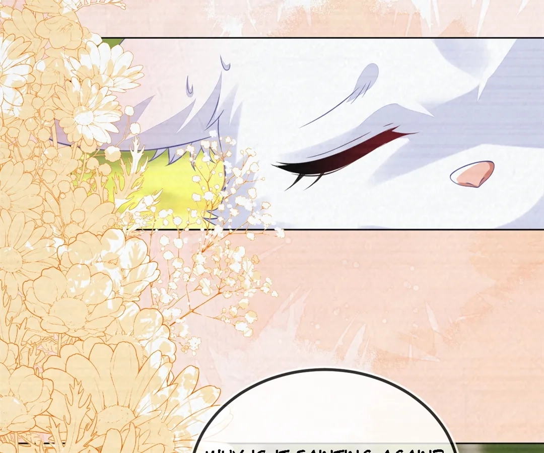 The Fox Man’s Obsession Chapter 55 412 de2a2b4c38ca