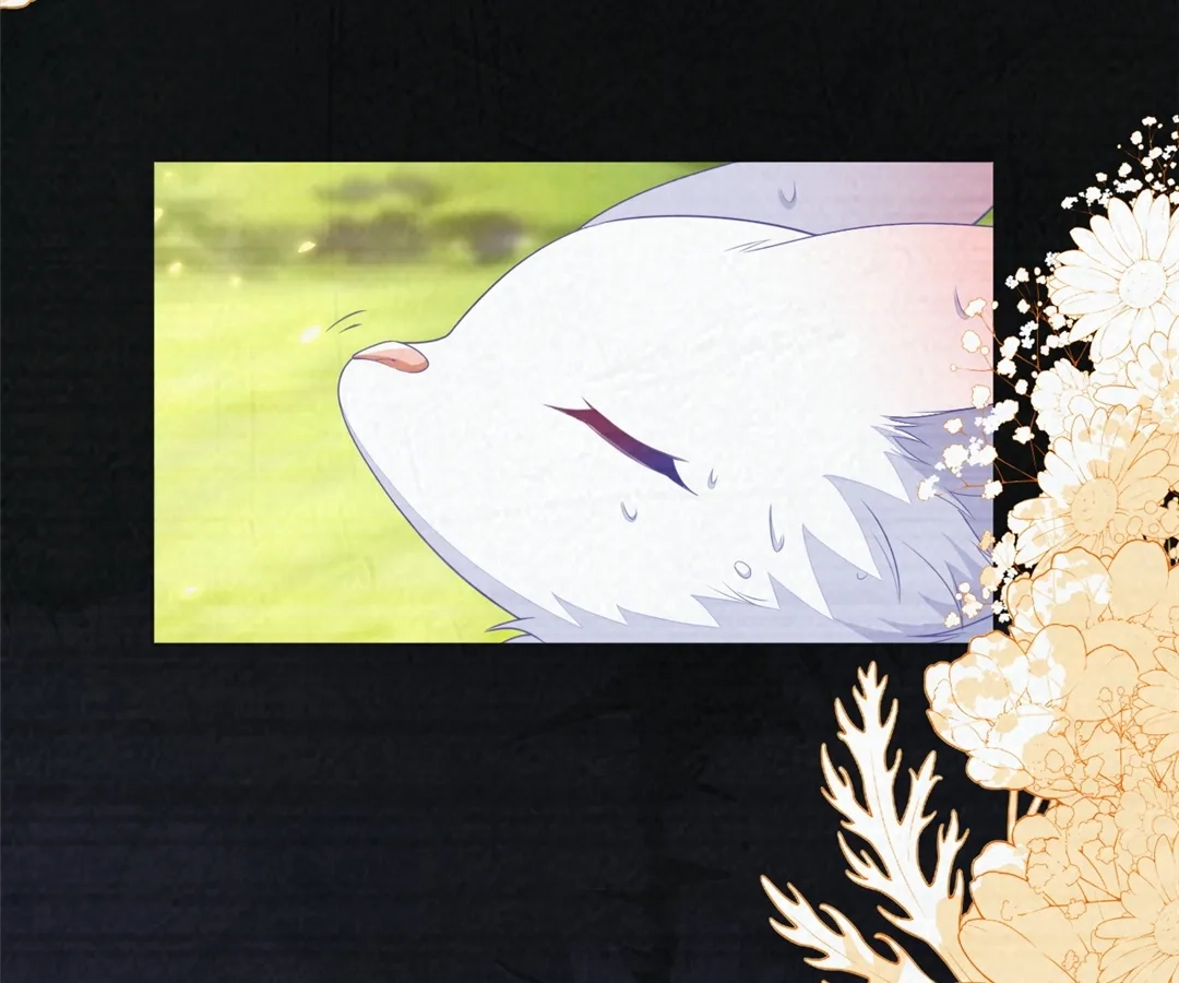 The Fox Man’s Obsession Chapter 55 405 ed7b8d56b3de
