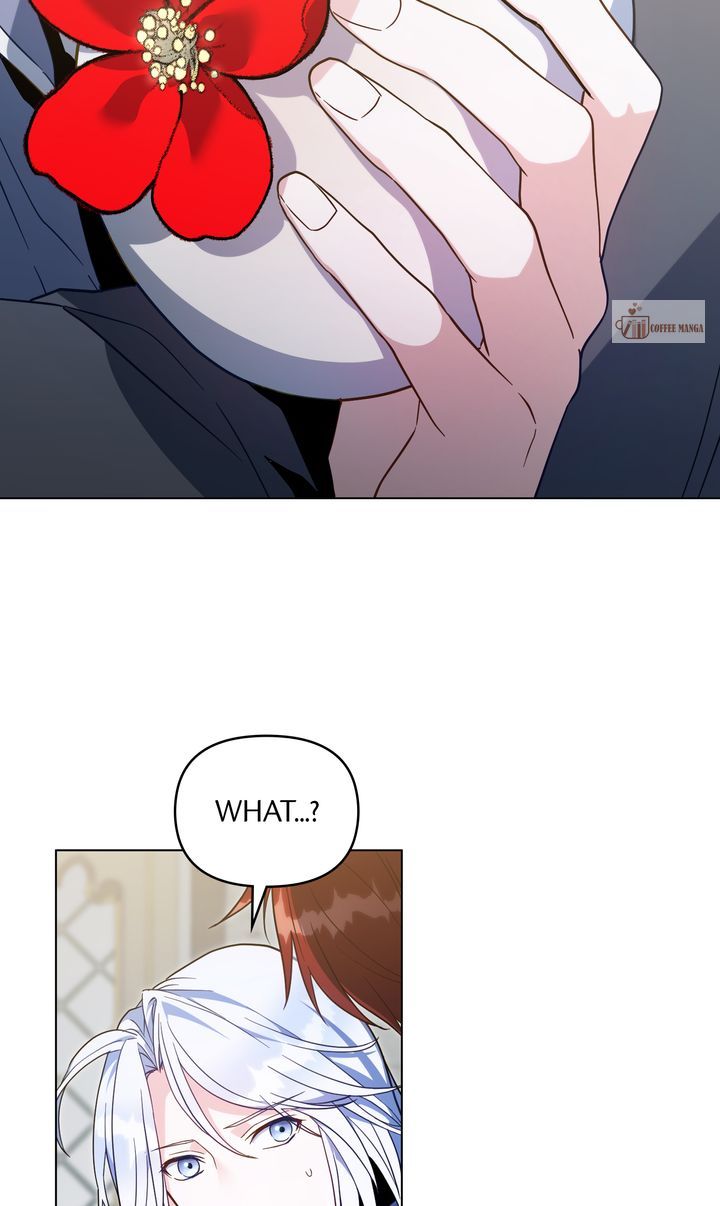ch 37 3