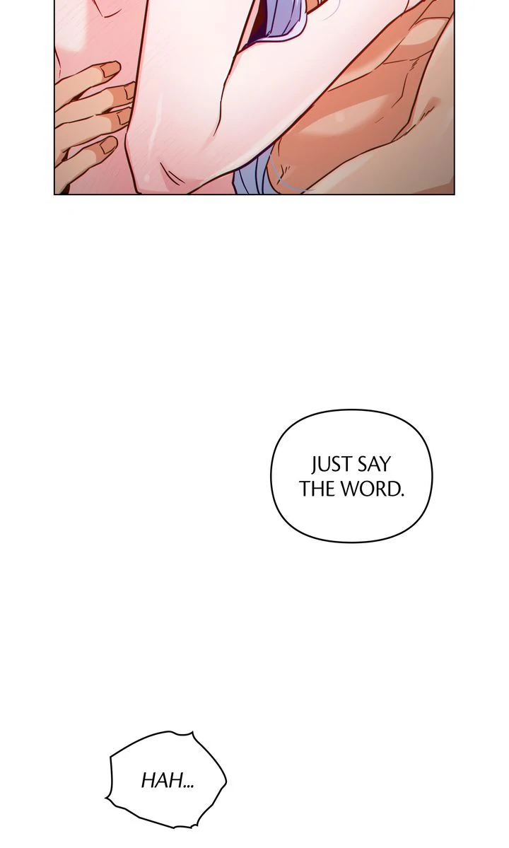 ch 42 17