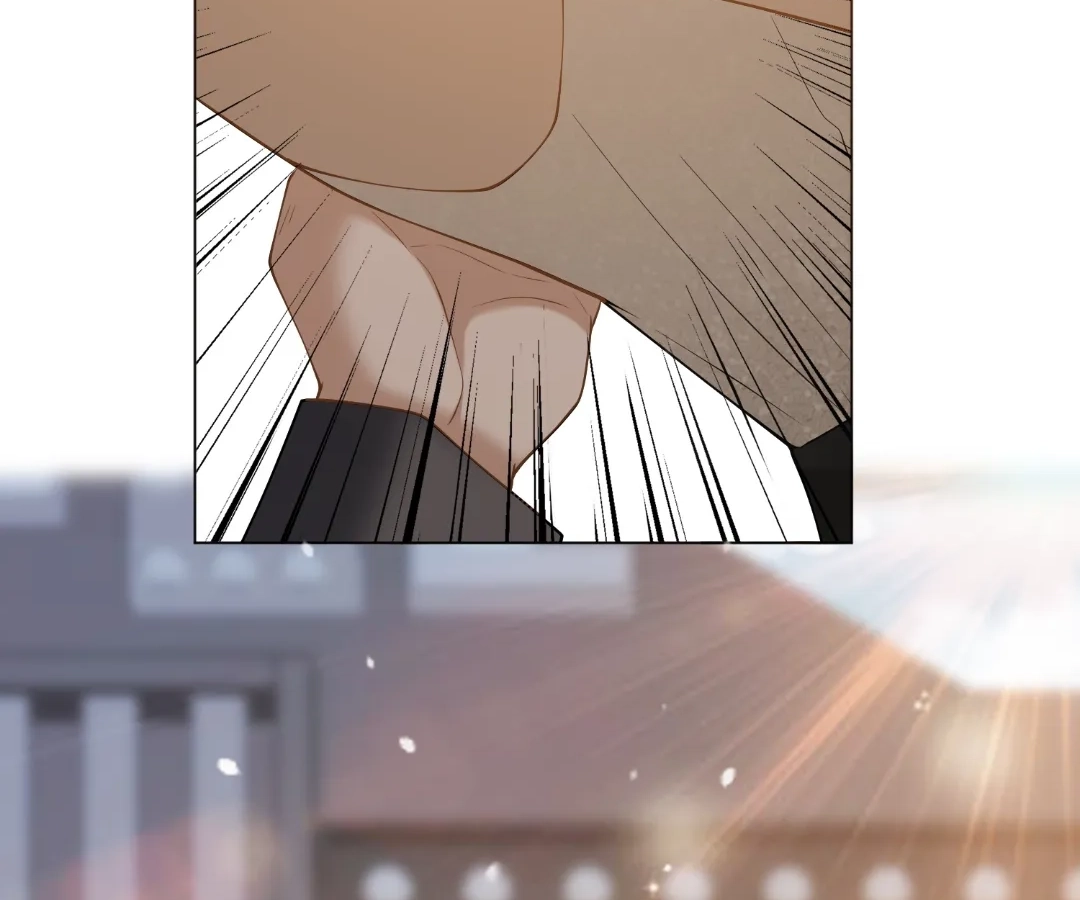 55e7d13aa636