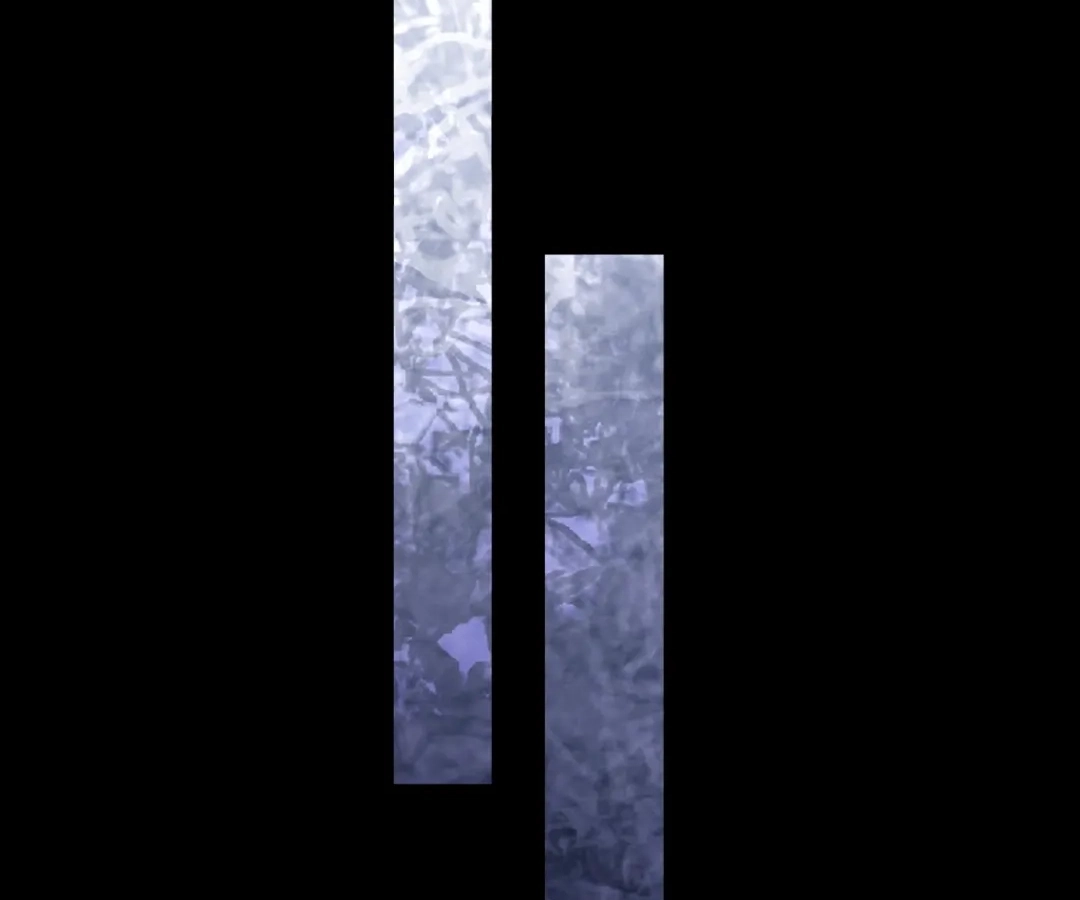 c9f9e51c17da