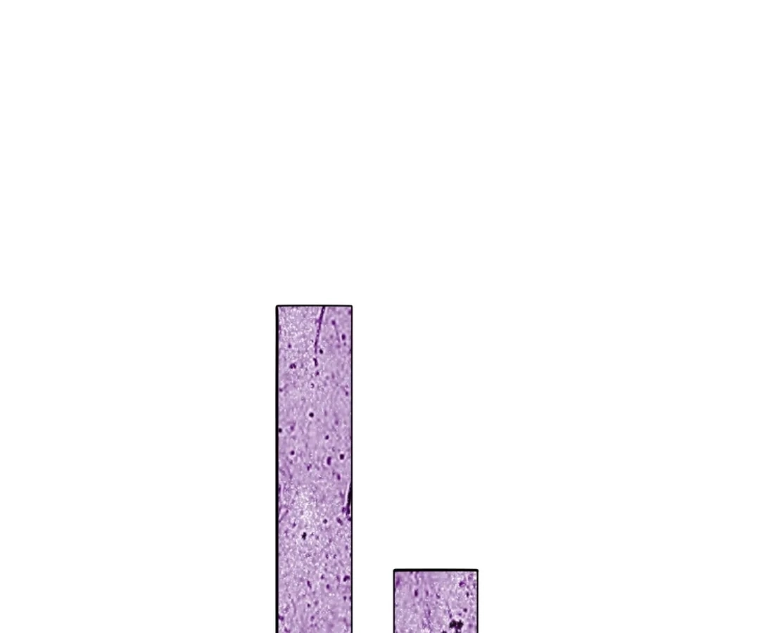 81ce3e0c7ad7
