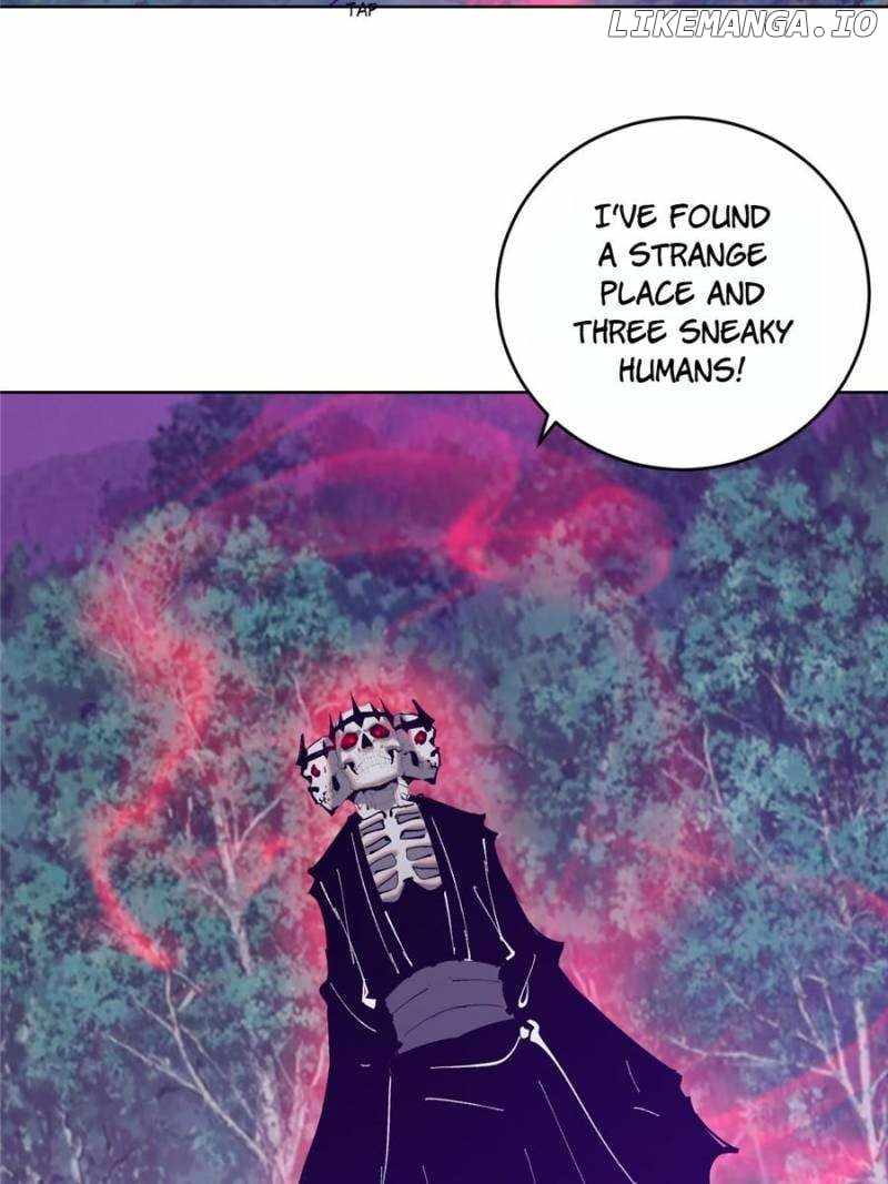 43