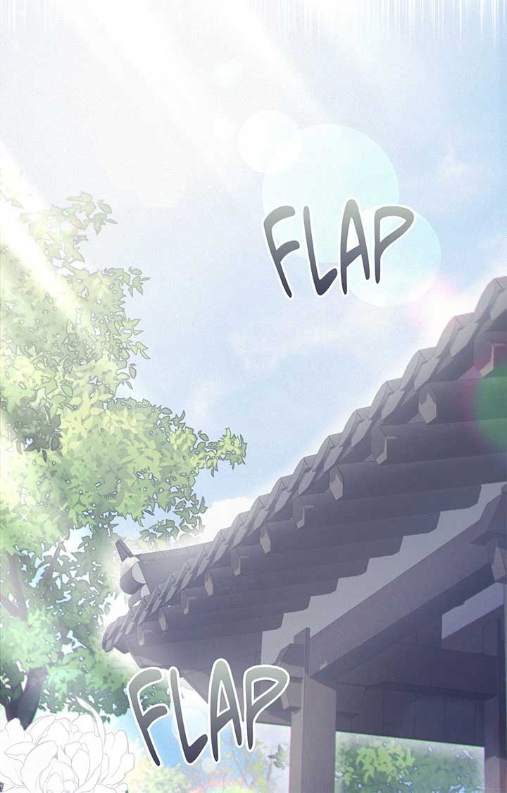 ch 52 6