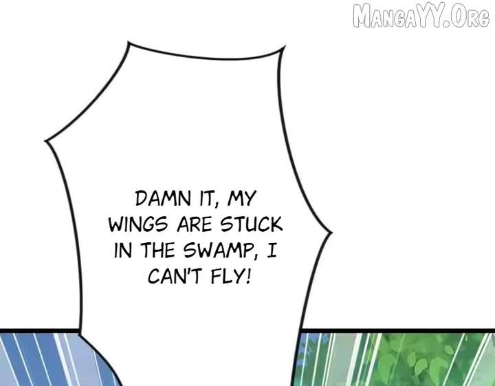ch 56 96