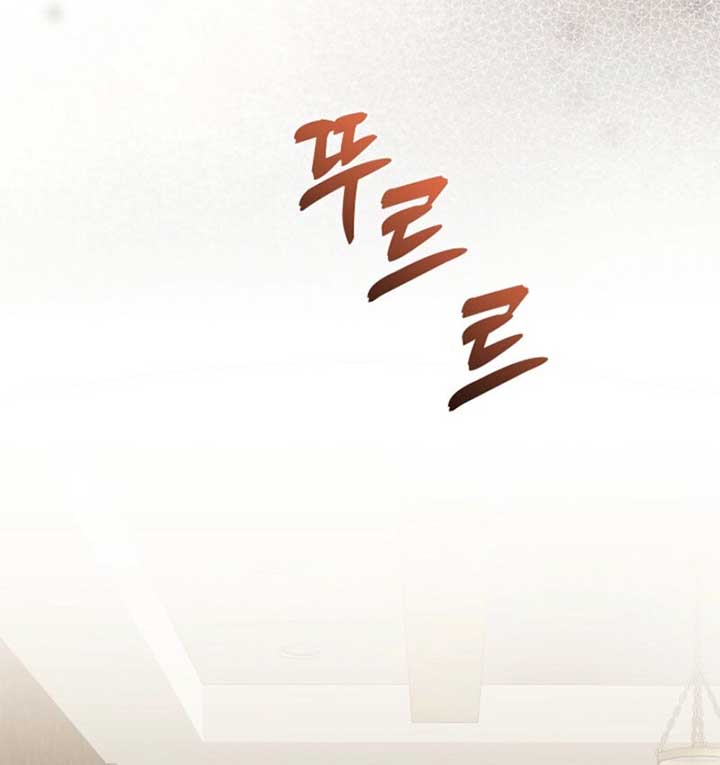 ch 24 4