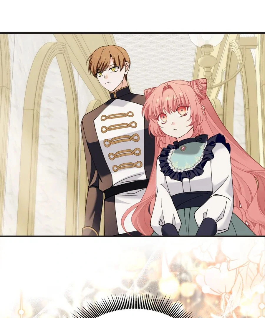 ch 23 100