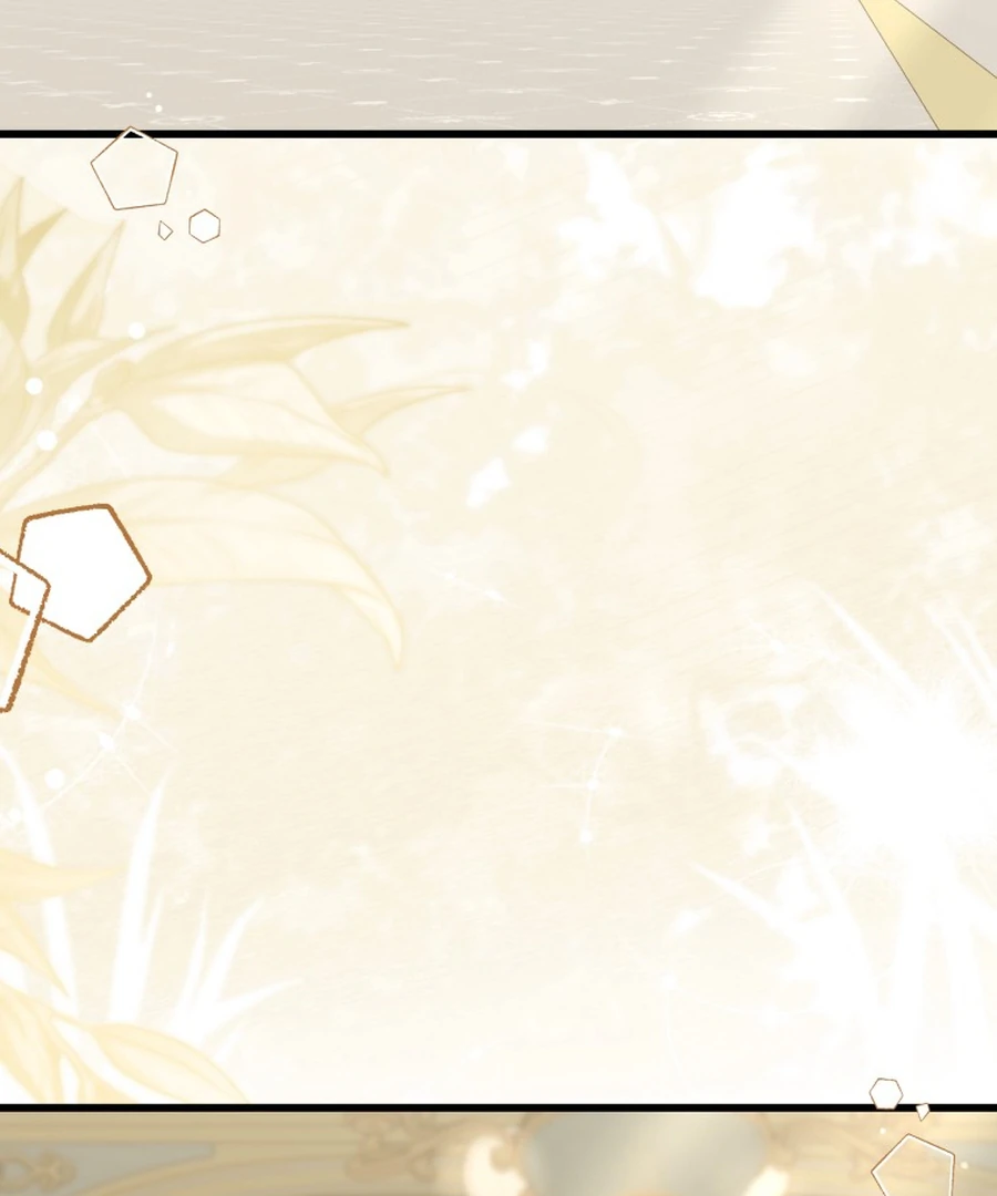 ch 29 81