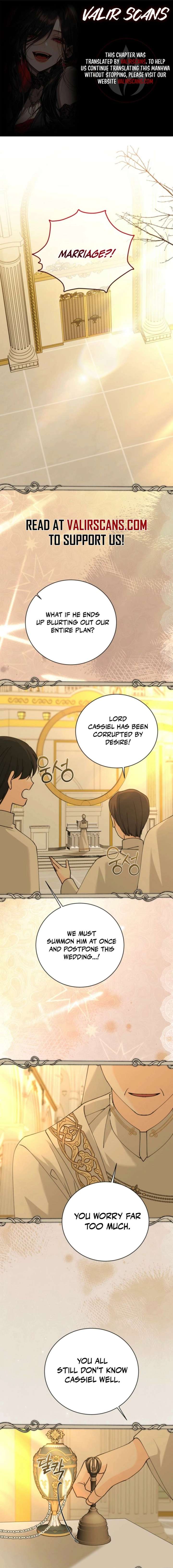 ch 51 1