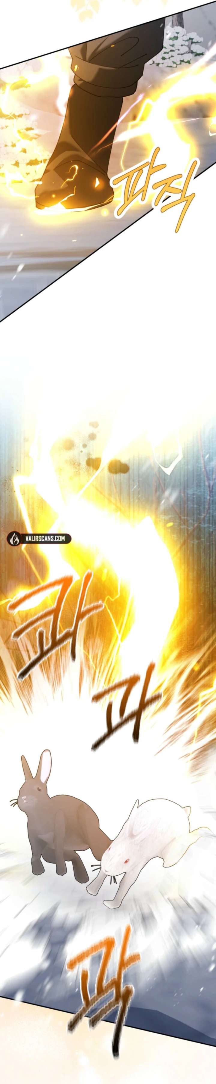 ch 56 13