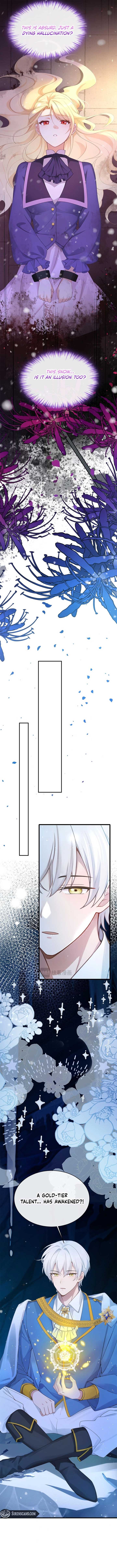 ch 2 6