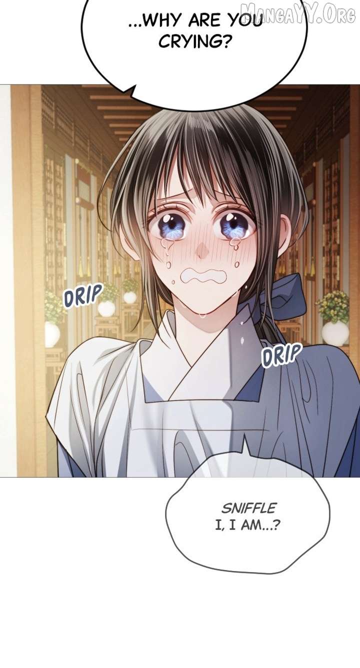 ch 17 26