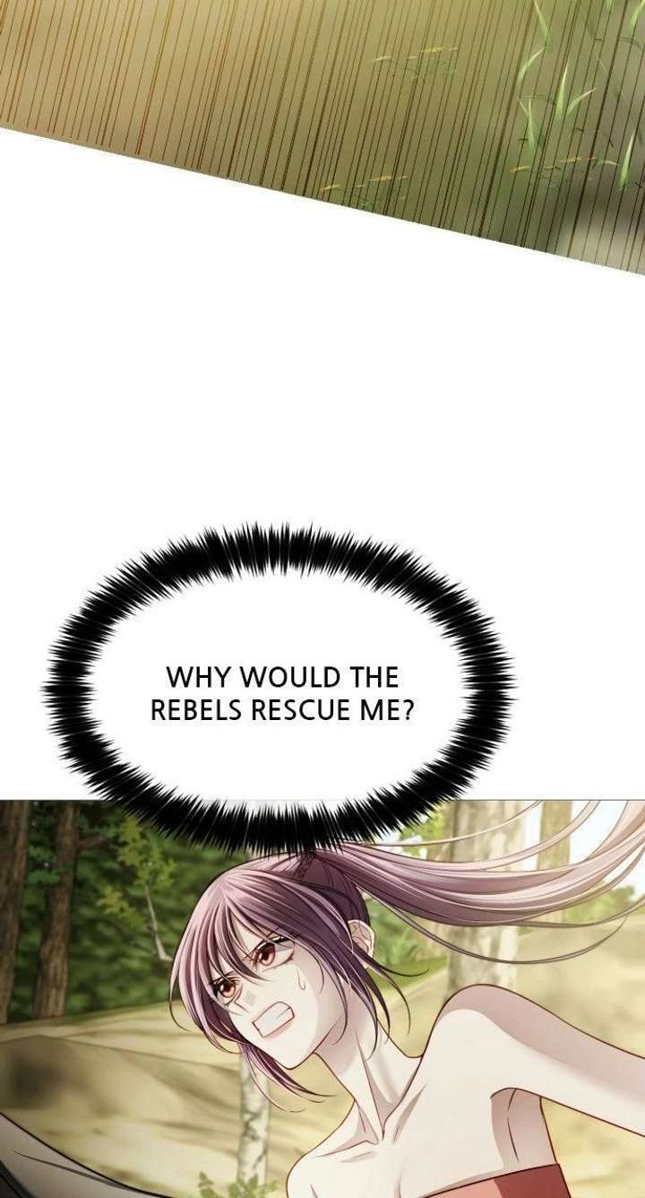 ch 23 4